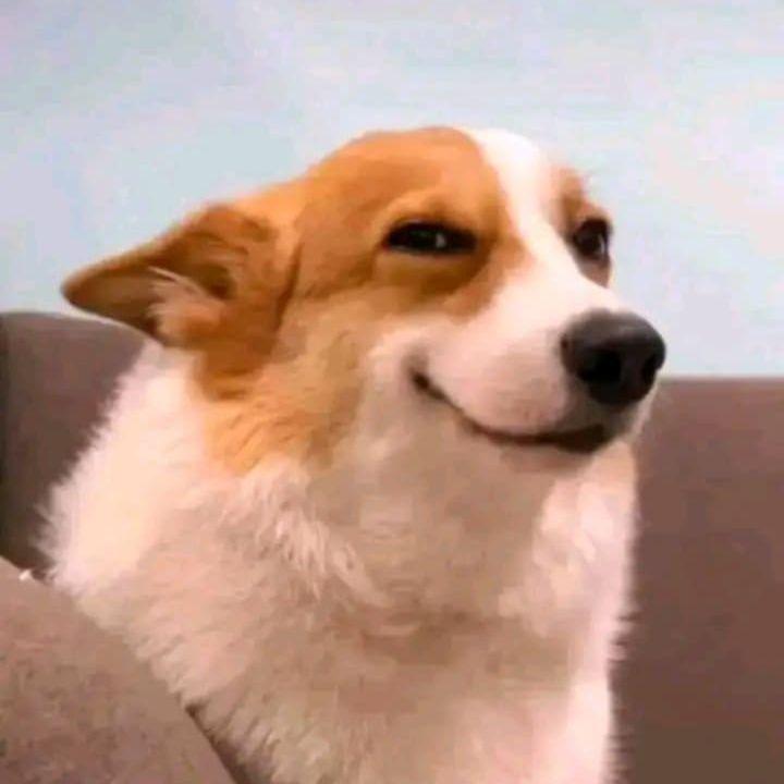 kannavell avatar