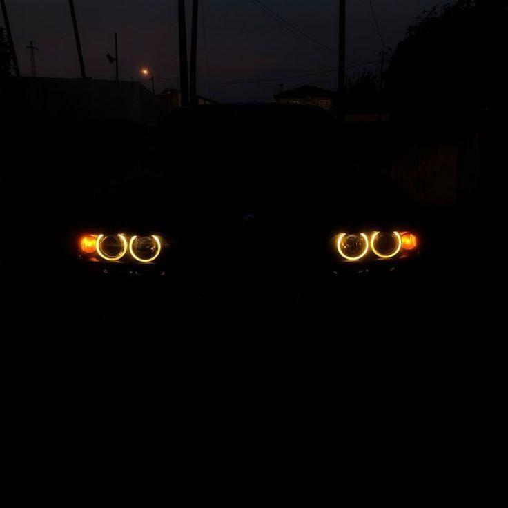 -cato666- avatar