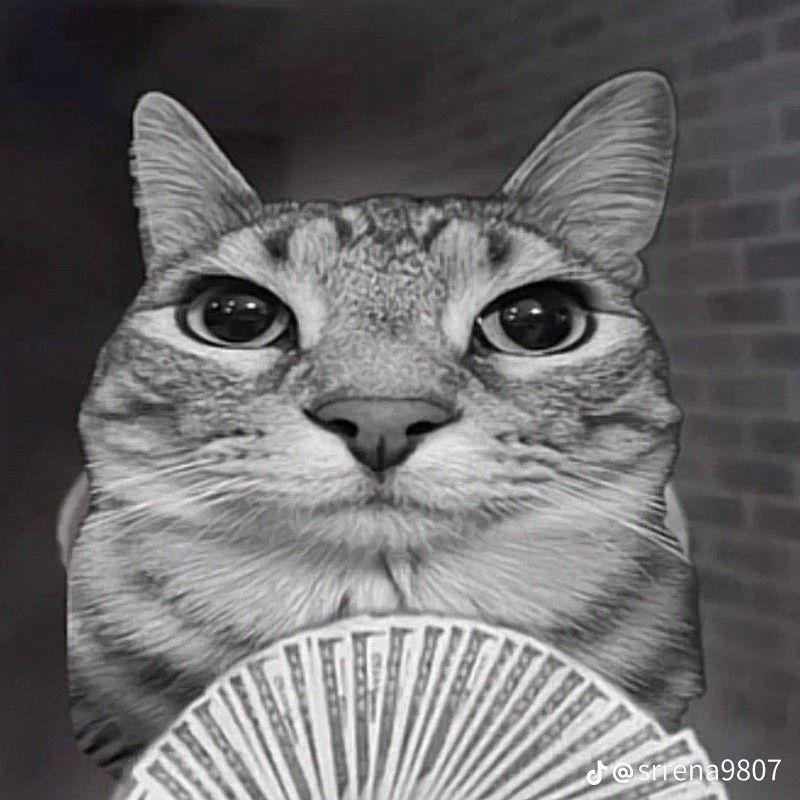 WhatTheFokws avatar