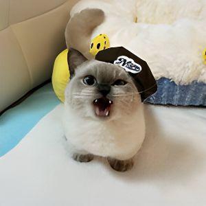 juvez666 avatar