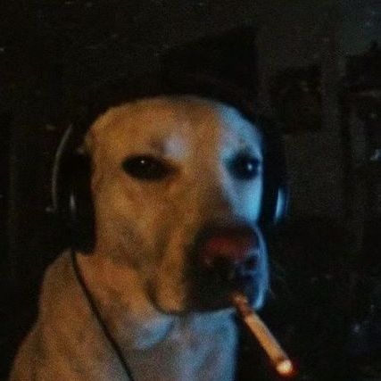 _NyZx_ FACEIT avatar