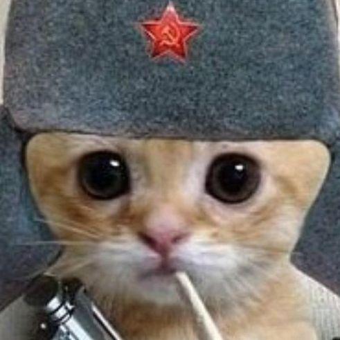 KraskyY avatar