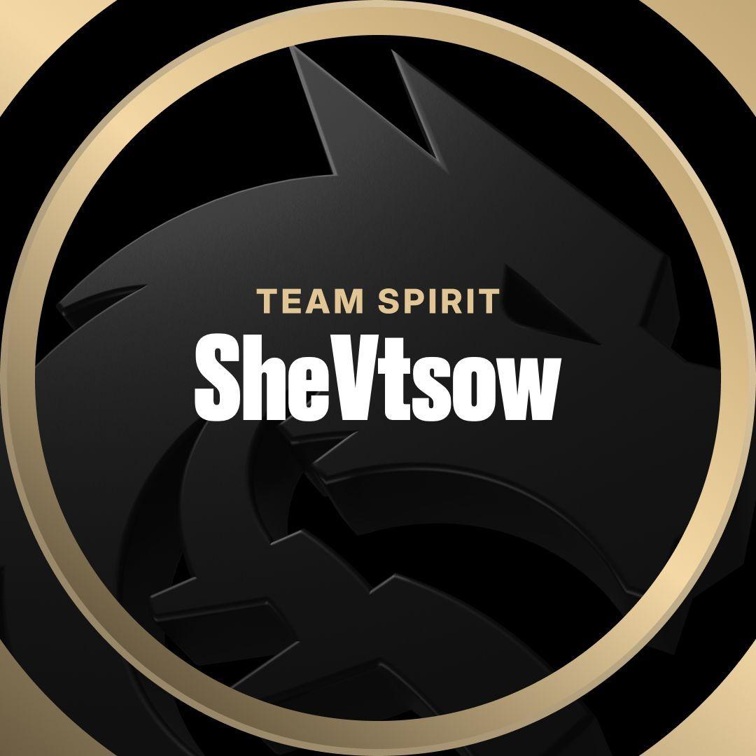 Player SheVtsow avatar