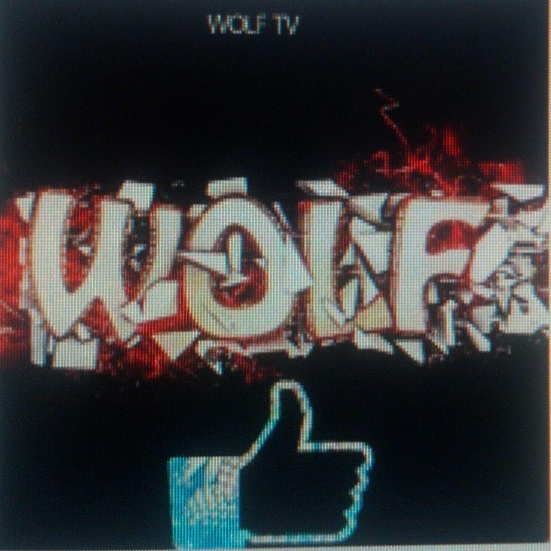 Wolf_TV76_YT avatar