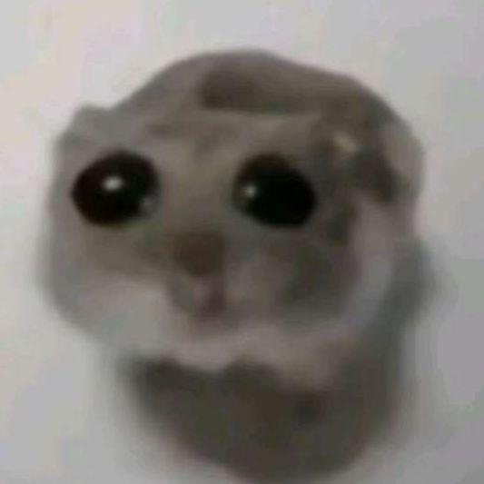 Zekinck avatar