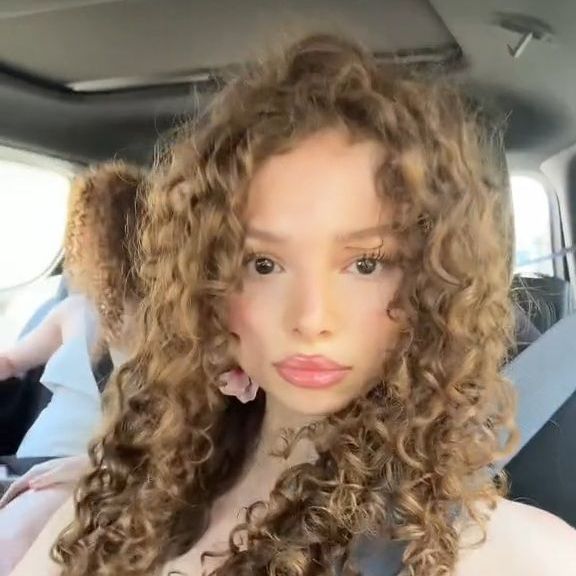 jebdwab