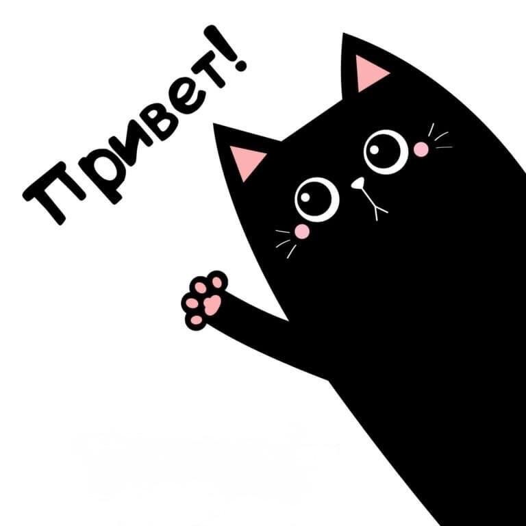 Chi1lPanda avatar