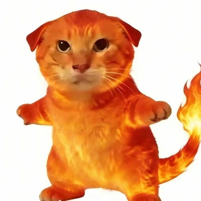 ropz-3 FACEIT avatar