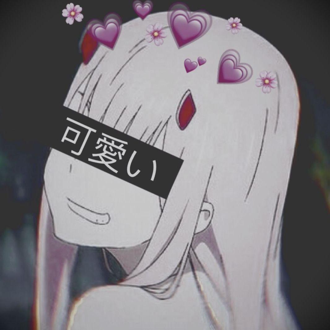 Player Mimase avatar