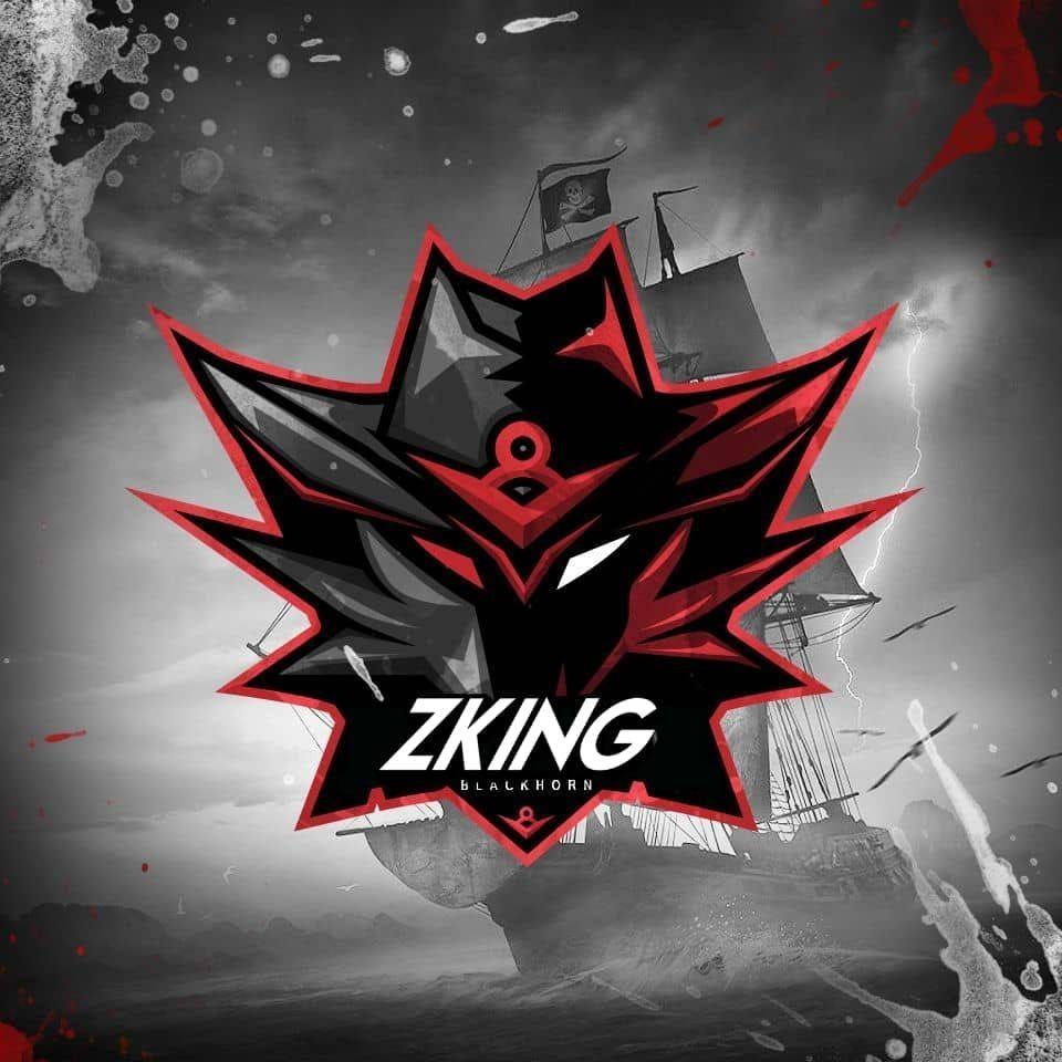 ZKingas avatar