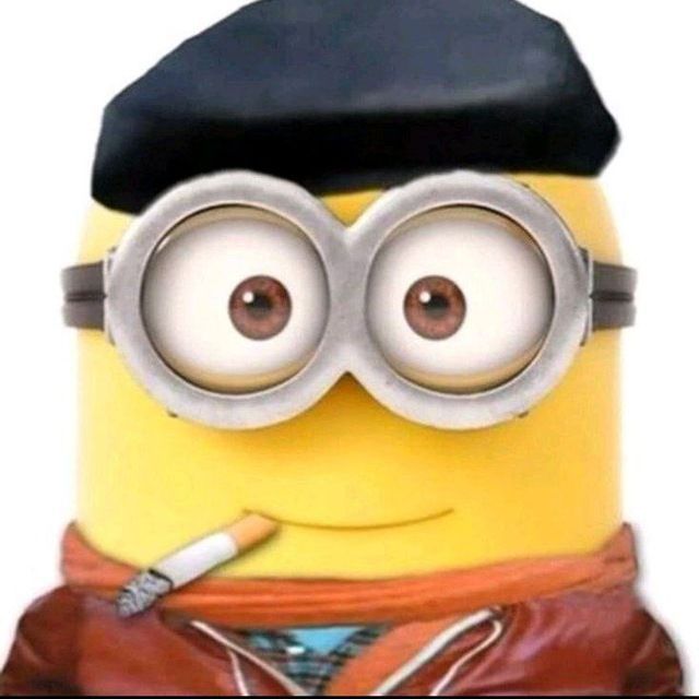 dsybaub