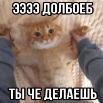 w41seson