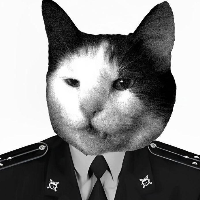 Lectropol avatar