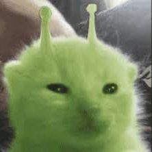 ryan0k avatar