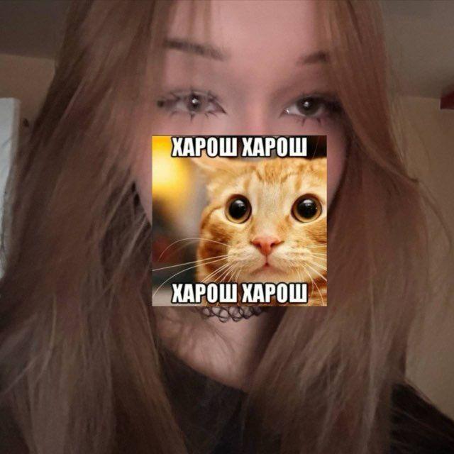 saxue avatar
