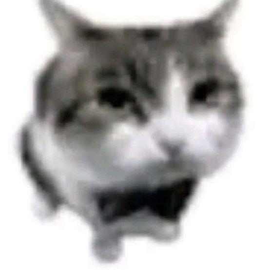 VALORANTLOVR