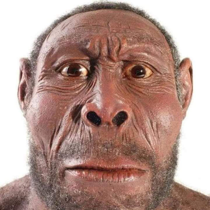 _Simik