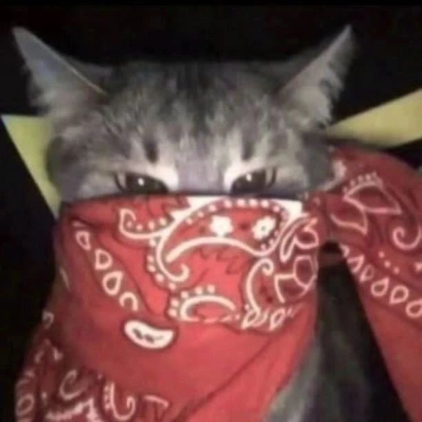 RushBlyat avatar