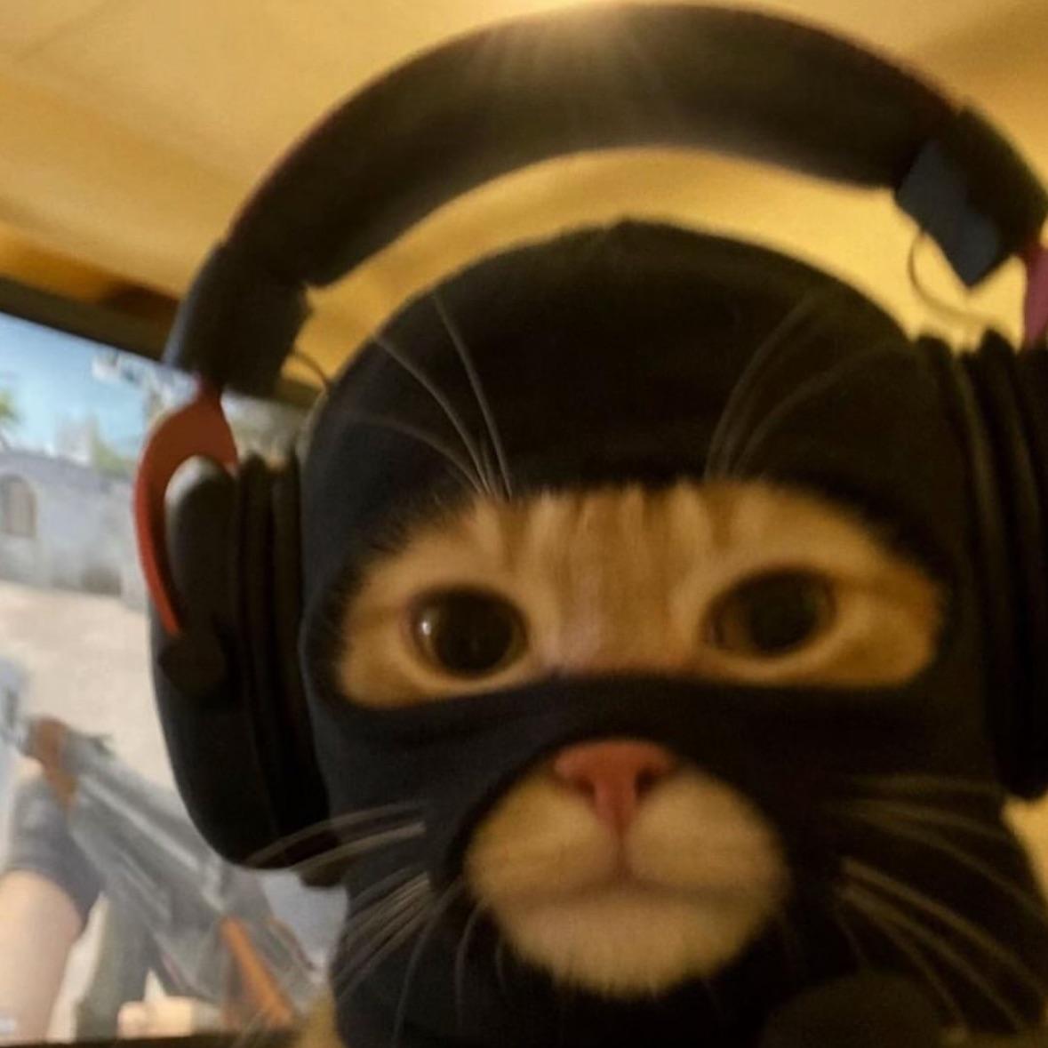 Faceit avatar