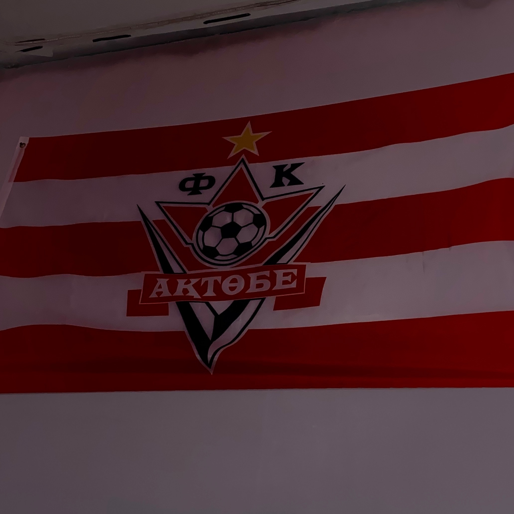 Zheka_ww