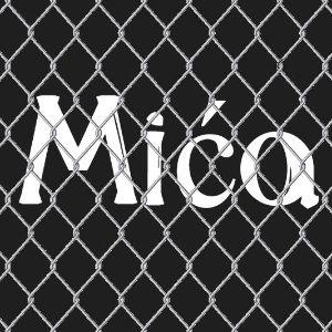 Mica Zica