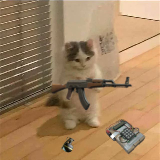 team_GodTabbyCat