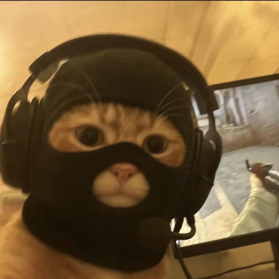 KIT777X avatar