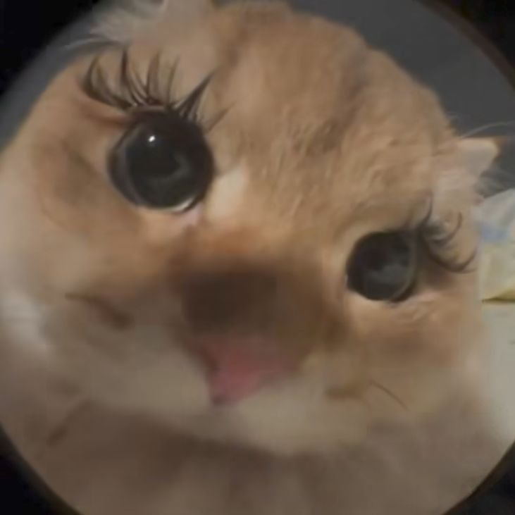 Sakurra18