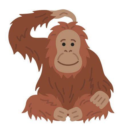 orangutangos avatar