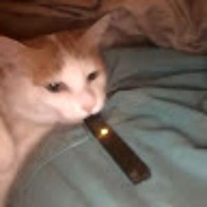 c0dy