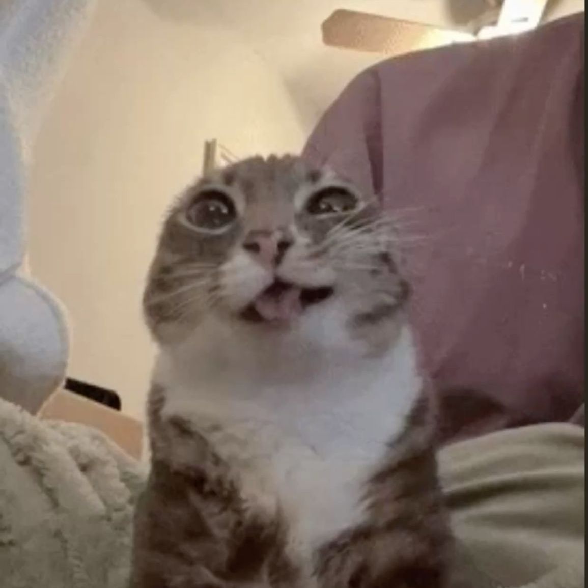 Sup_me