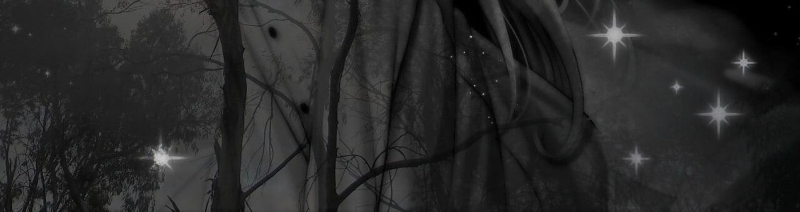 Faceit banner for @idc