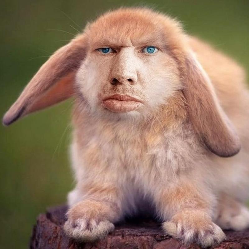 SanLitov avatar