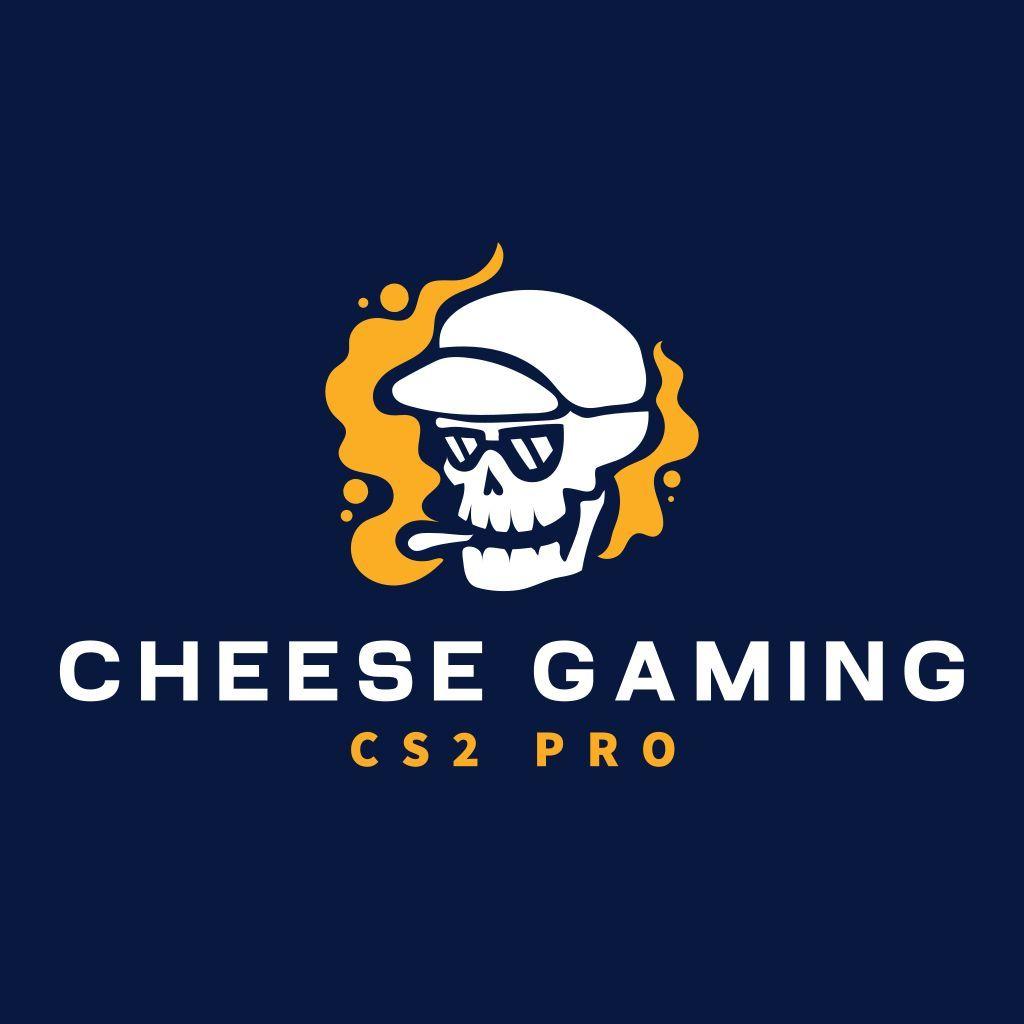 CheeseCS2 avatar