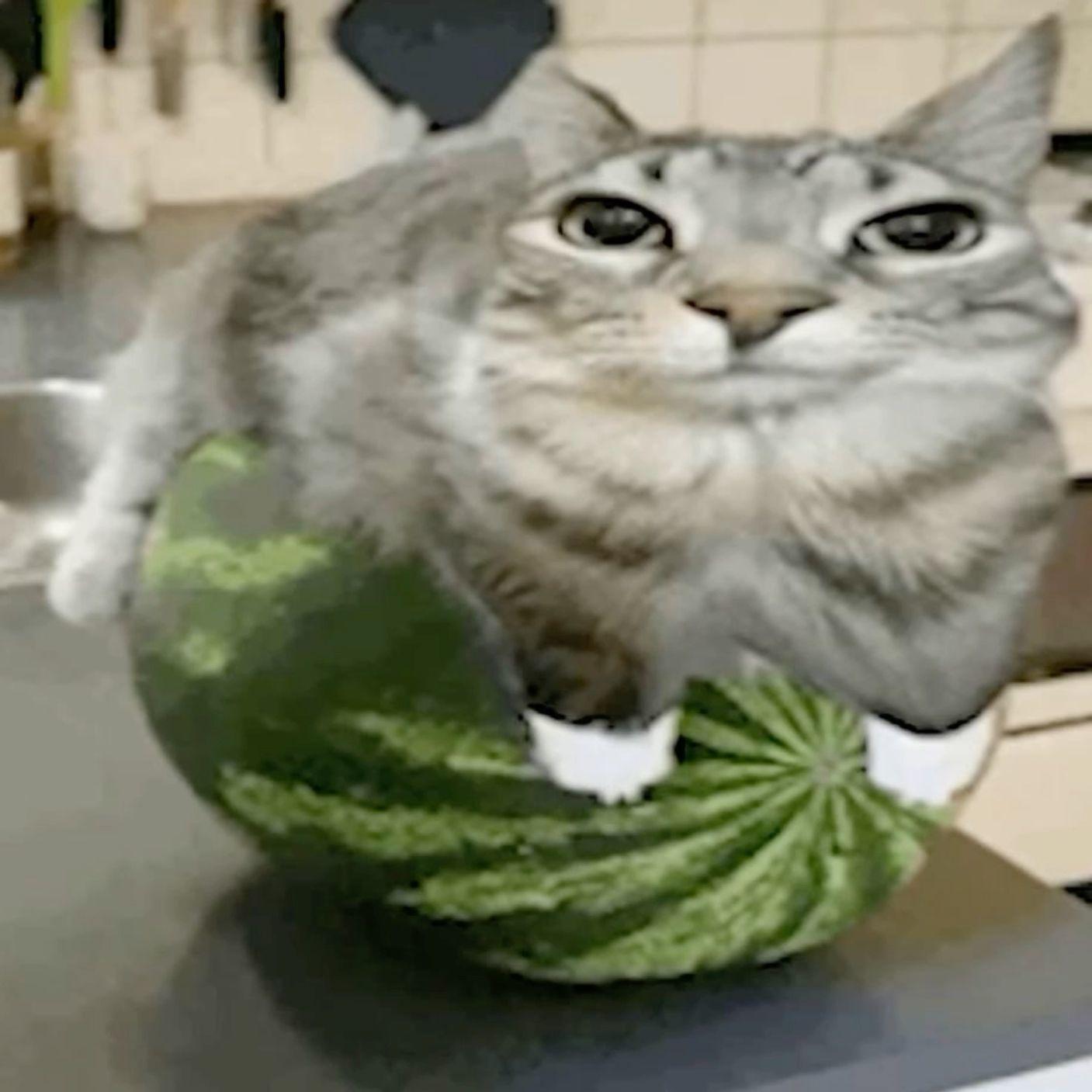 _Mih4il_ avatar