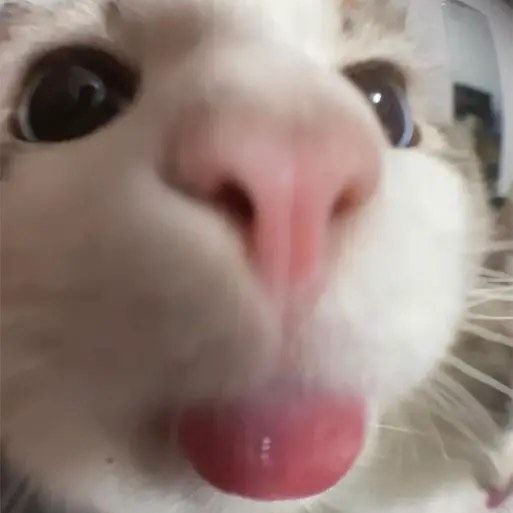 bmG_96