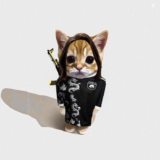 Robdy avatar