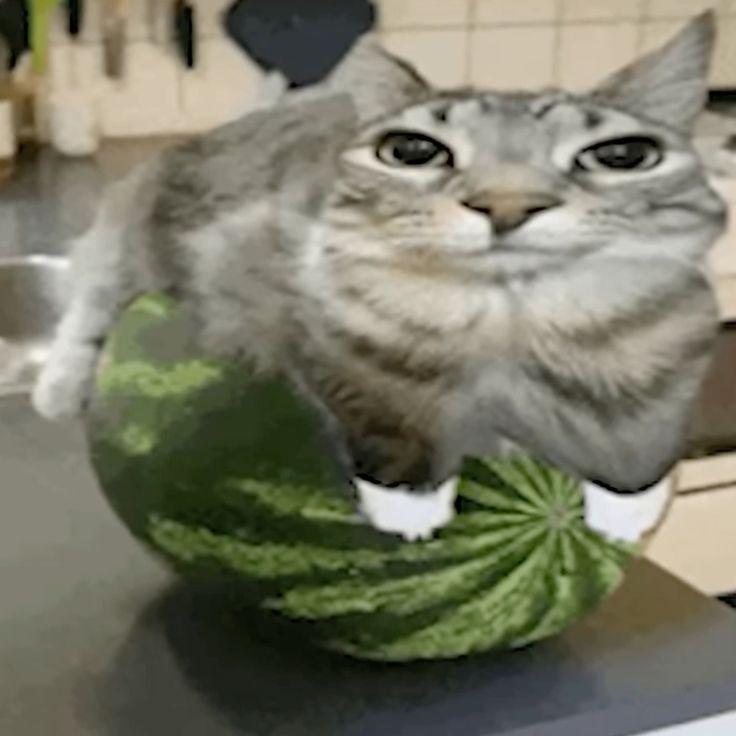 r3d_sid3