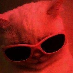 GN1T3K avatar