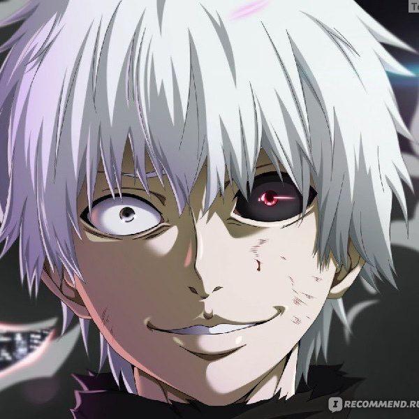 ANIME MIR