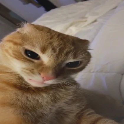 Fredmikzz avatar