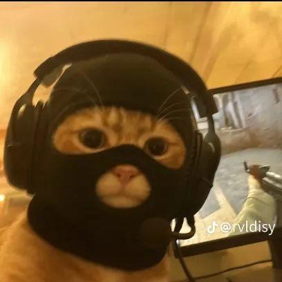 fIowd