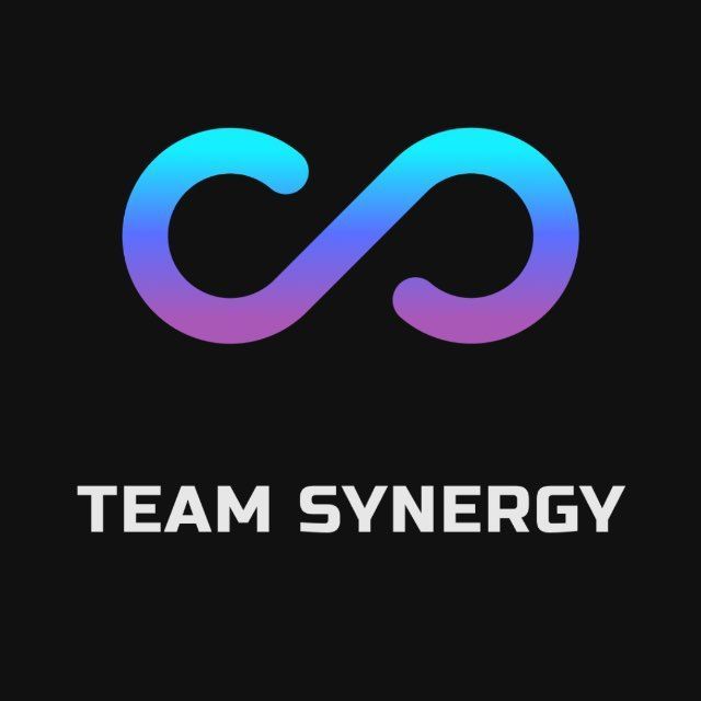 SYNERGY TEAM