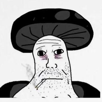 Mous3k avatar