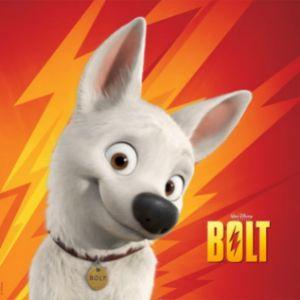 Bolt-exe avatar