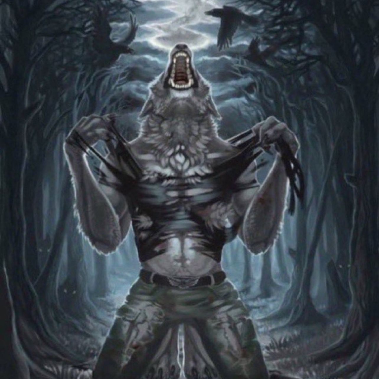 FrAcX1337 avatar