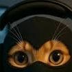 team_Hilalraa