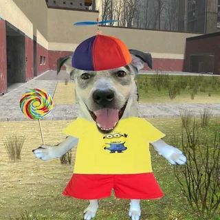 nolan99