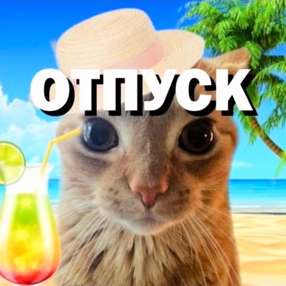 lovelytym FACEIT avatar