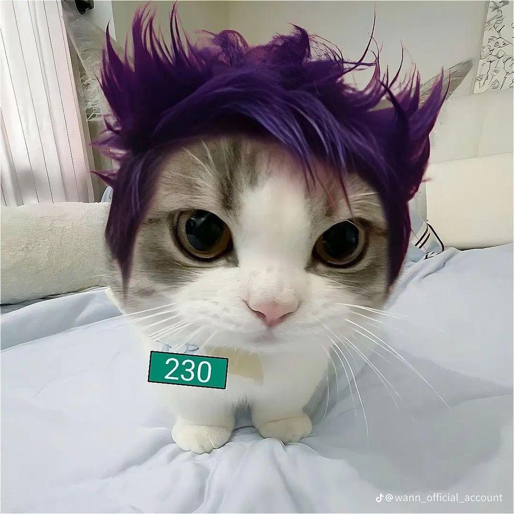 M_I_K_S_A avatar